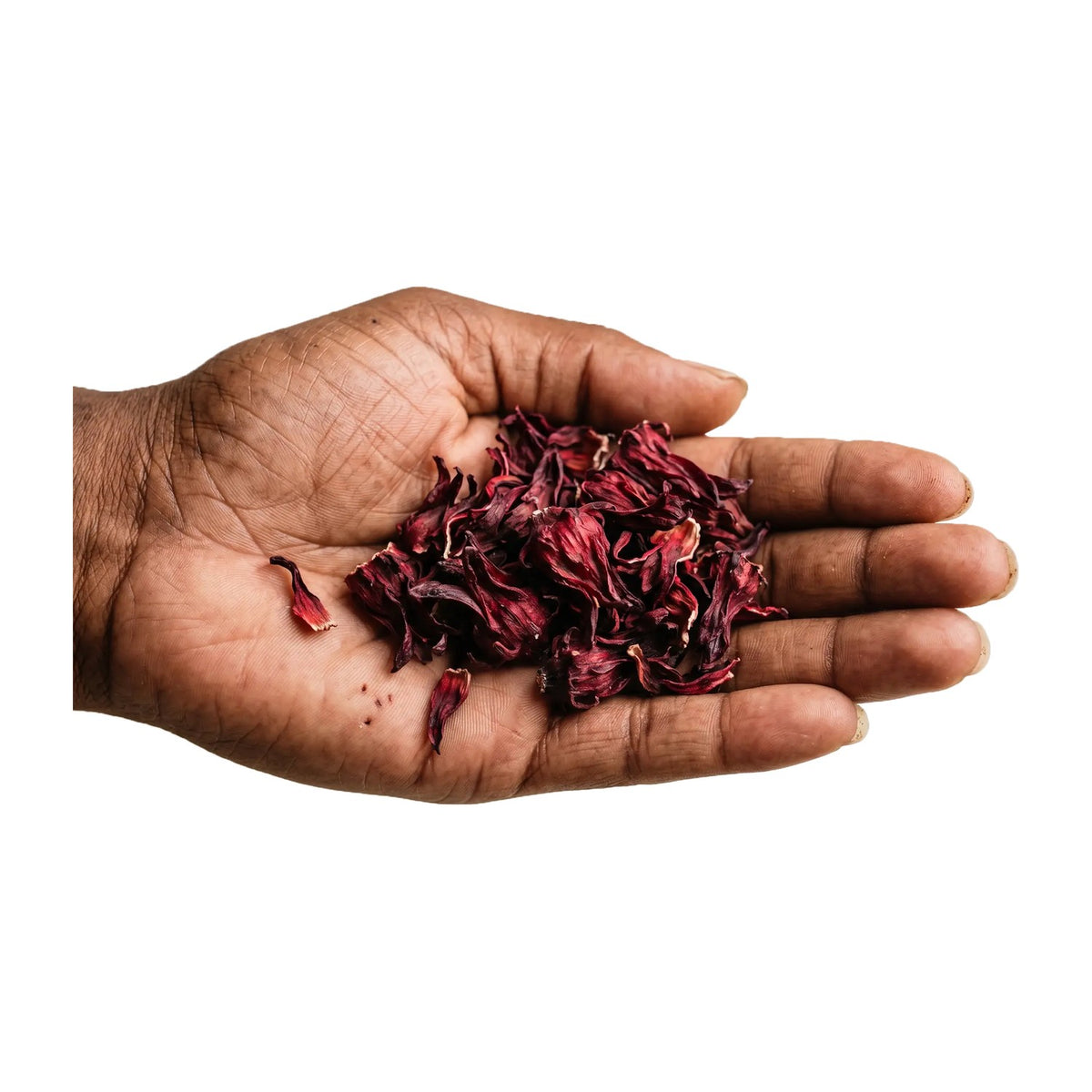 Getrocknete Hibiskusblüten in einer Hand
